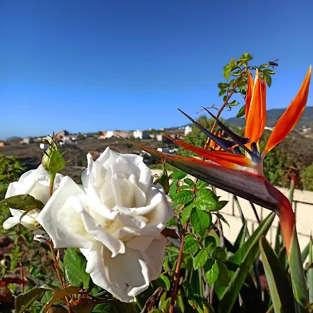 Apartment Finca Aurora - Lovely 2-bed Finca With Pool *